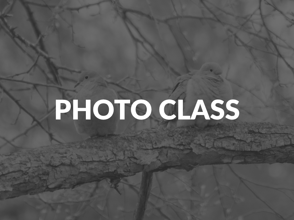 Photography Class